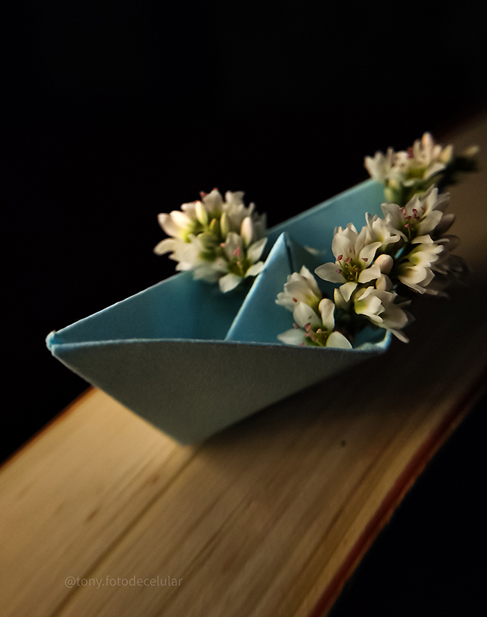 Foto de um barco de papel com flores em cima de um livro