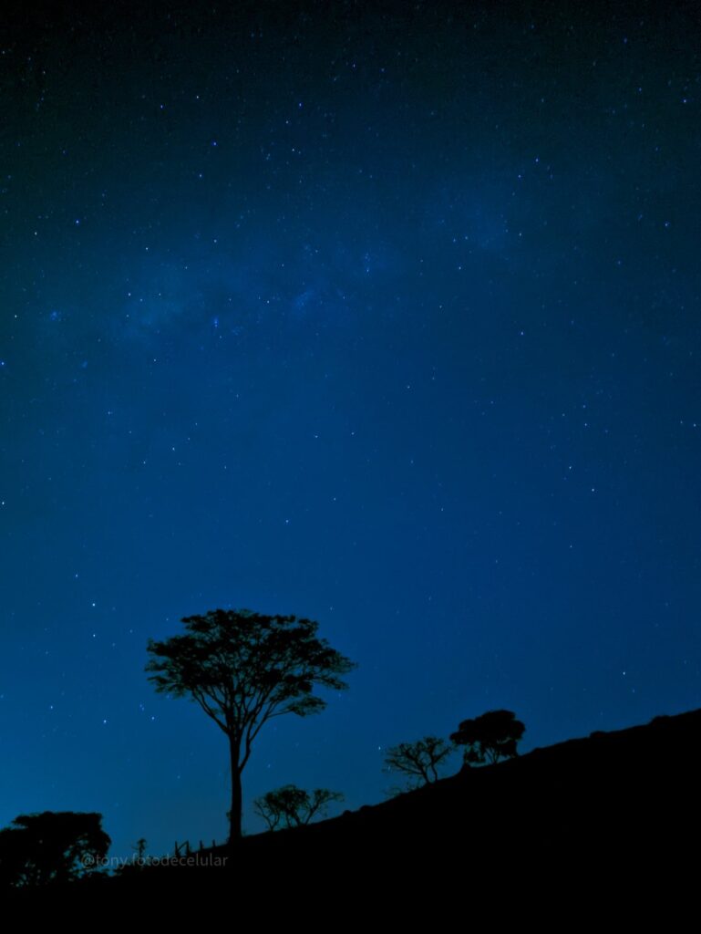 Foto de astrofotografia com silhueta de árvore feita com o celular