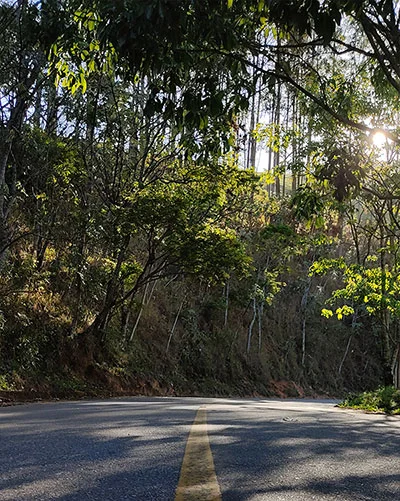 Foto feita com celular de uma estrada sem edição