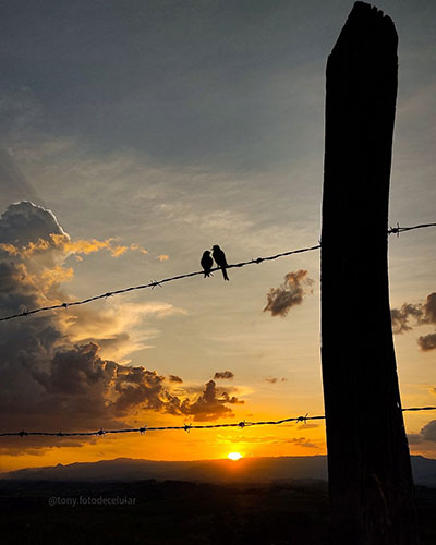 Foto de uma cerca no pôr do sol com edição