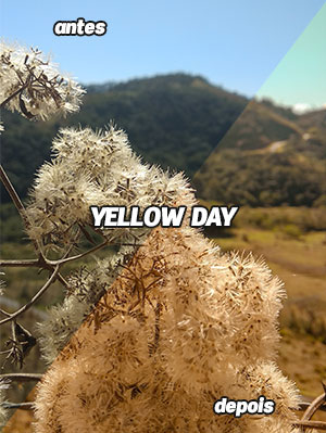 Preset para fotos de celular - yellow day