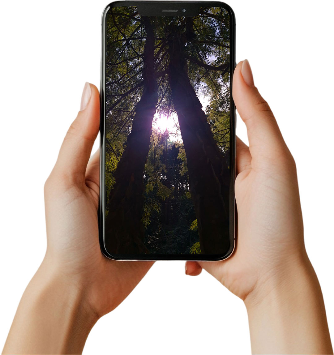 Foto de celular antes do curso de edição do Tony